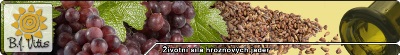 logo firma vitis - pan Barto